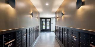 The Collins The Collins Gallery 33