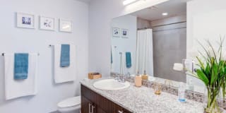 Sophia Square Gallery 7