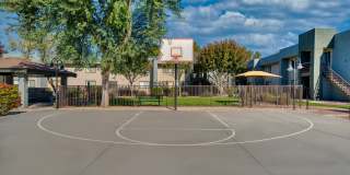 TelaVerde Gallery 13