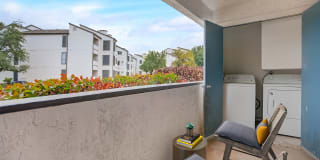 Terrace Cove Gallery 10