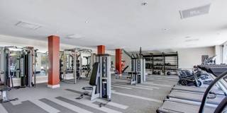 Array Vista Canyon Gallery 38