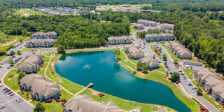 Summer Lake Gallery 23