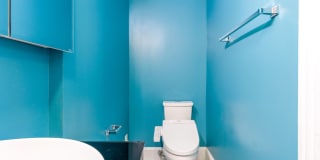 Classic 3 Bedroom Rowhome in Columbia Heights Gallery 60