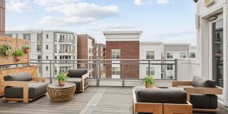 Atmark Cambridge Gallery 43