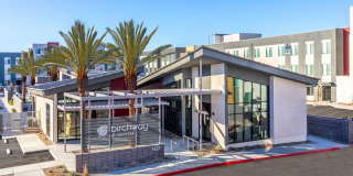 Birchway Tropicana Gallery 18