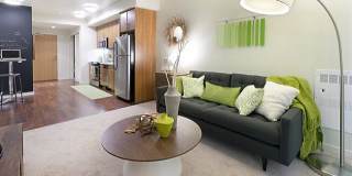 Rincon Green Gallery 11