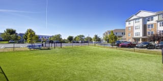 Lakeside Apartments of Carmel Phase II Gallery 19