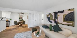 ReNew Pinehurst Gallery 5