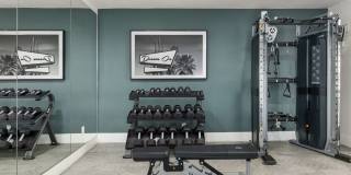 Cortland Scottsdale Mountain Gallery 15