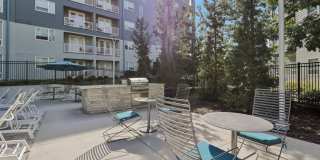 Gallerie Gallery 47