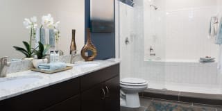 The Addison Apartments Gallery 18