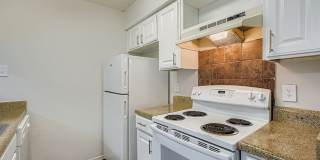 Rise Gateway Gallery 41