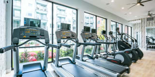 Met on 7th Gallery 12