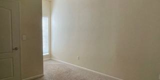 Downtown / Williams Brice area Gallery 12