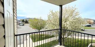 Maple Valley Gallery 15