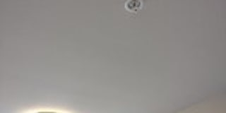 2960 Willamette St. Gallery 137