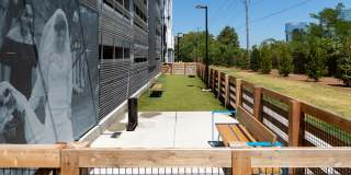 Novel Edgehill Gallery 11