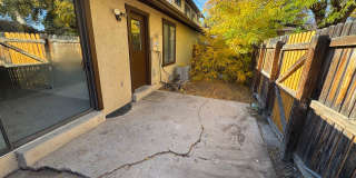 Live in the Timbers Gallery 22