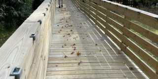 243 Woodcrest Road Gallery 33