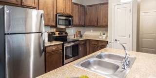 Harbor Island Gallery 1