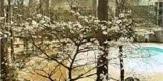 6792 Willowbrook Drive Gallery 21