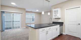 5167 Monterey Pine Lane Gallery 1