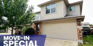 15549 Gray Catbird Gallery 1