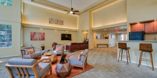 Arbor Square Gallery 6