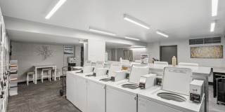 Georgia West Gallery 10