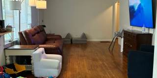 3 bedroom 2 bathroom near St. Mary's Hospital Gallery 6