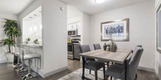 The Adalene Gallery 10