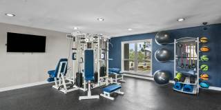 Grand Hampton Gallery 4