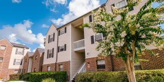 The View at Mandarin Gallery 12