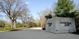 323 W Webster Avenue Gallery 21