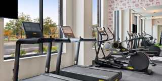 The Hallon Gallery 70