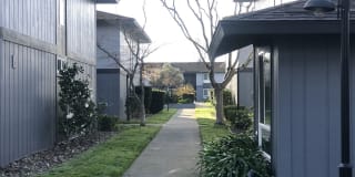 Bella Vista Gallery 22