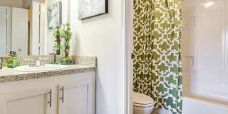 Canter Chase Gallery 29