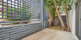 Rise Biltmore Gallery 18