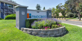 Pinecrest Apartments Gallery 31