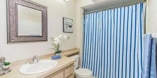 526 Oak Creek Drive Gallery 7