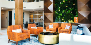 Juniper Sandy Springs Gallery 16