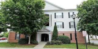42537 ROCKROSE Square Gallery 1