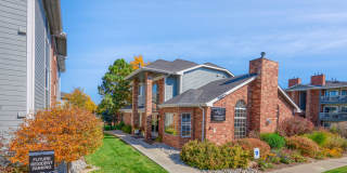 Arapahoe Club Gallery 19