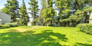 The Redwoods Apartments Gallery 19