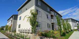 Markwood Apartments Markwood Apartments Gallery 10