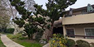 3 bed / 2 bah Condo. Hardwood floor, forced heat, lots of HOA amenities Gallery 1