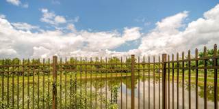 20656 RIVER LIFFEY Terrace Gallery 52