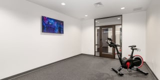 The Avante Gallery 39