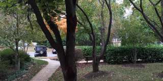11402-E GATE HILL PL #E Gallery 18