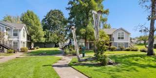 Reflections at Hidden Creek Gallery 75